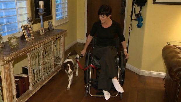 0512-news-service-dog-00-01-18-12-still002.jpg 