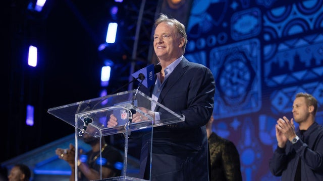 NFL Commissioner Roger Goodell 