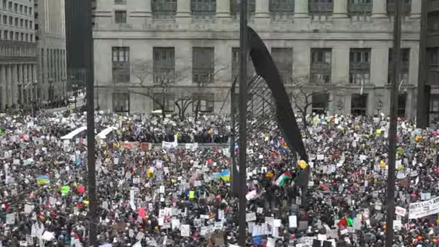 Tesla Protests 