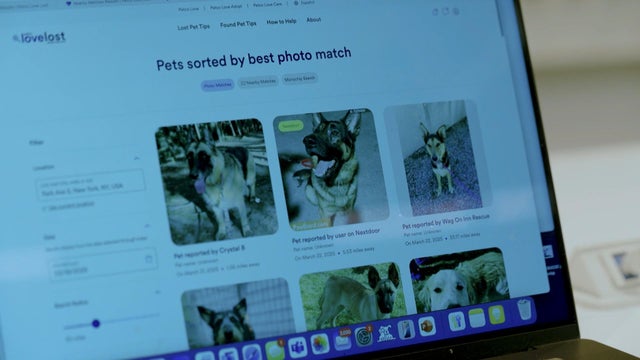 0417-cmo-pet.jpg 