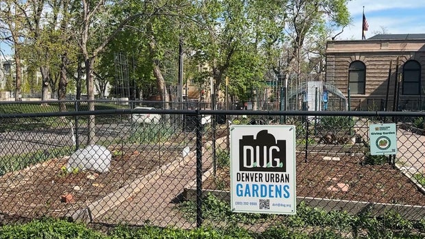 dug.jpg 