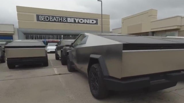 Dozens of Tesla vehicles sit in Michigan parking lot 