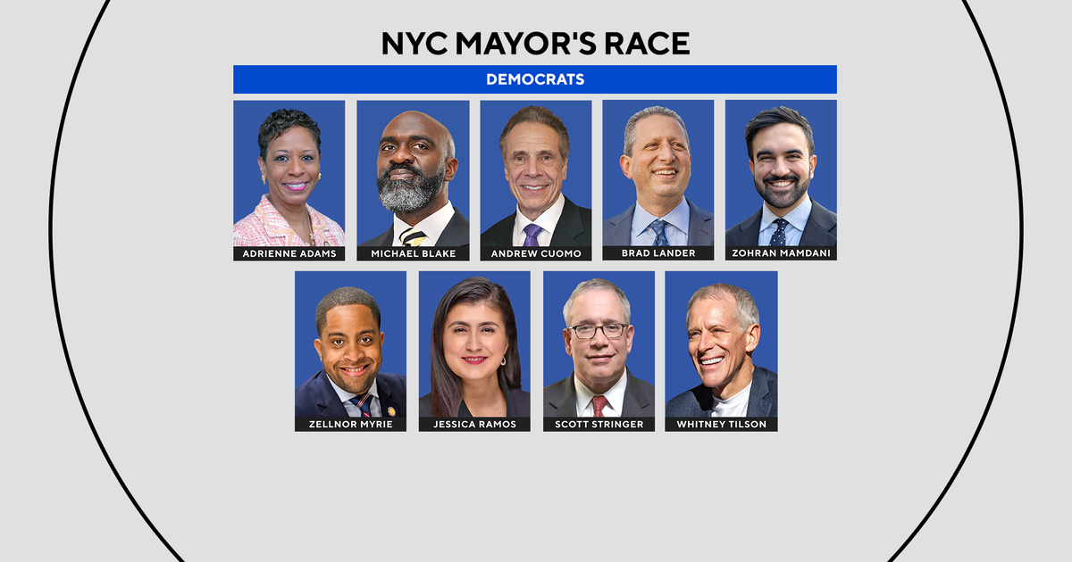 Meet the Democratic candidates running for mayor of NYC 