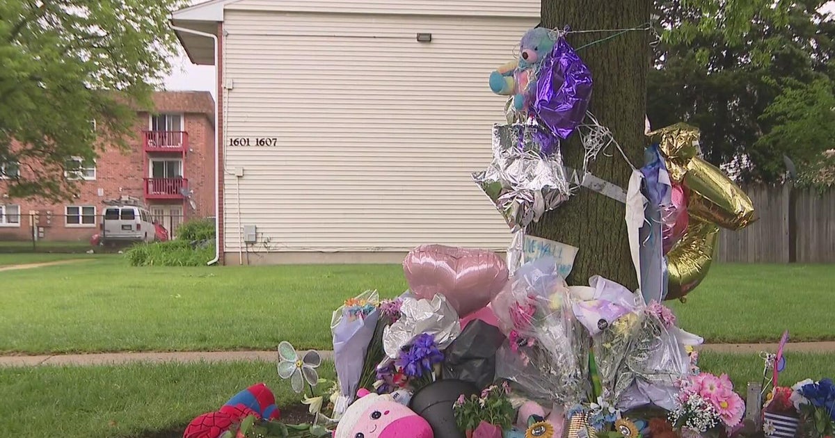 7-year-old tried to save two sisters with CPR after fatal stabbing in Streamwood 