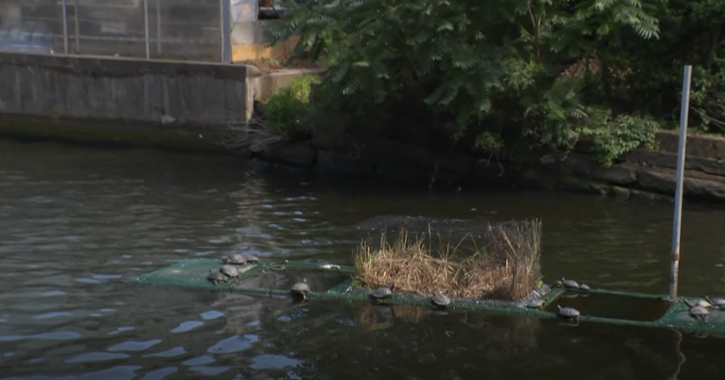 Baltimore harbor cleanup on track after 5,000-gallon fuel spill, mayor says 